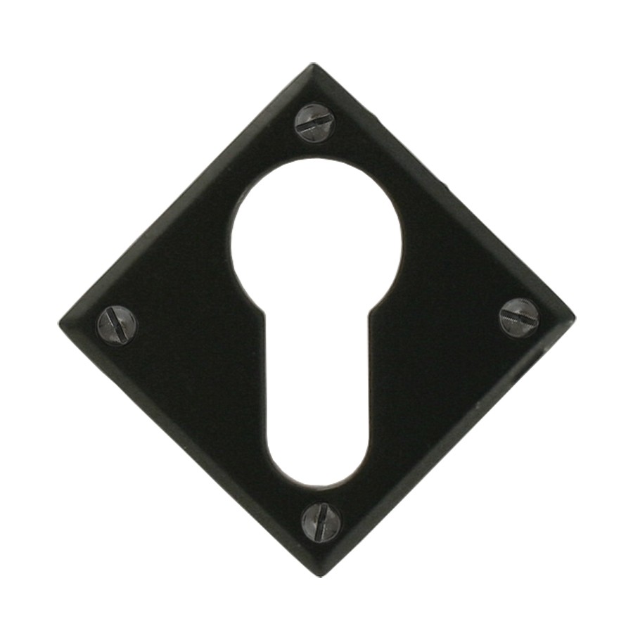 ANVIL - Black Diamond Euro Escutcheon  Anvil33236