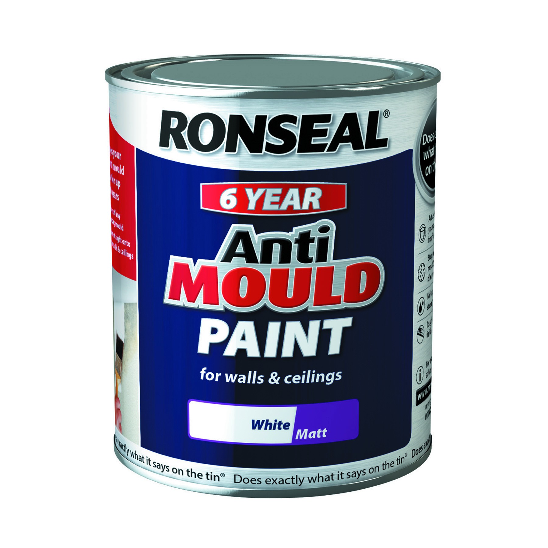 Ronseal Anti-Mould Paint 2.5L White Silk [RON36626]