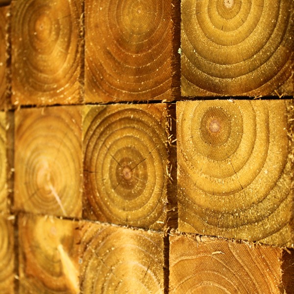 SAWN TIMBER - F 47x225mm H/Grown Timber & Tanalised C16 -3.6Mtr  047225HGTT36