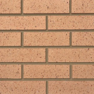 Ibstock 65mm Earlswood Textured Buff Brick                