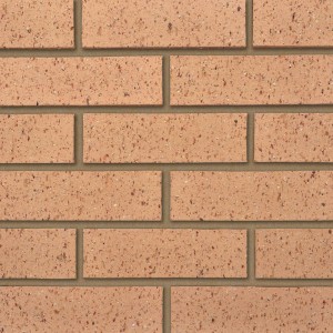 Ibstock 65mm Earlswood Textured Buff Brick                