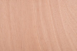 2400x1200x5mm Bendi Plywood Cross Grained - Flexible Plywood  IPW24125X