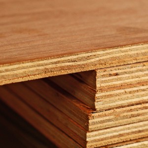 3050x1525x18mm EN314-2 Hardwood Plywood  XX84BC18