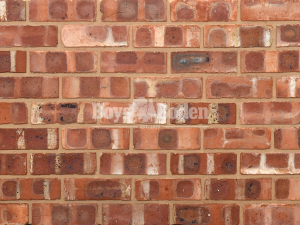 Imperial 73mm Scotch Common Solid Brick                   