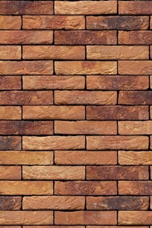 VANDERSANDEN 65mm Hailsham Mix Brick  [VANHMB65]