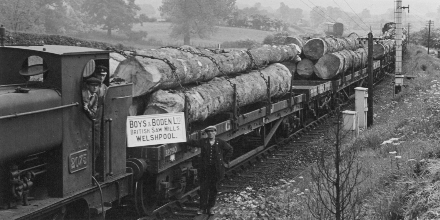 boys and boden train, timber train, oak train