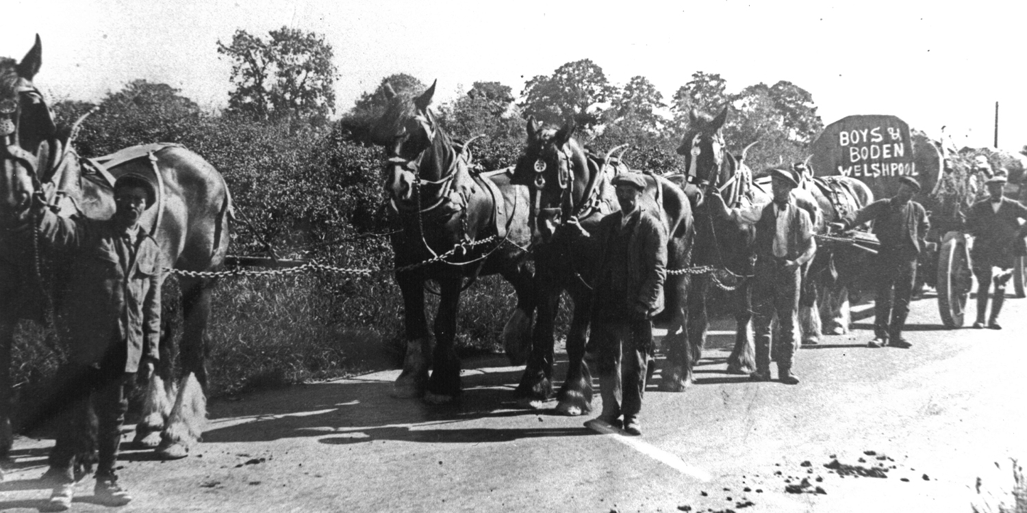 horse drawn oak, timber history
